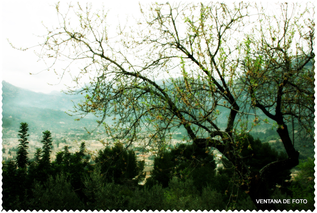 Foto: DE CAMINO A SÓLLER - Sóller (Illes Balears), España