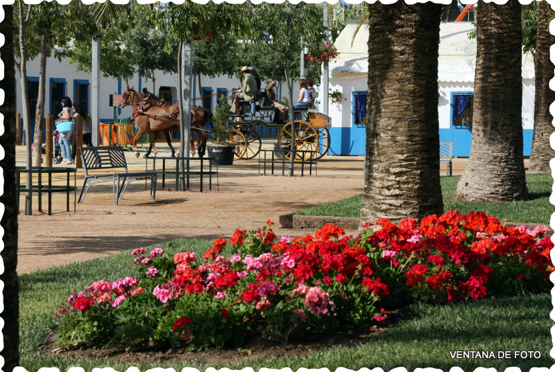 Foto: FERIA - Córdoba (Andalucía), España