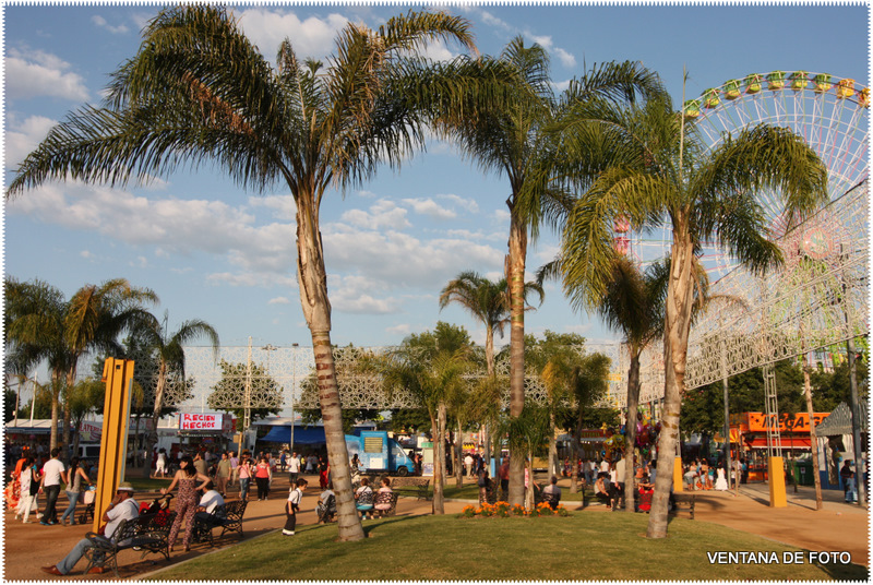 Foto: FERIA - Córdoba (Andalucía), España