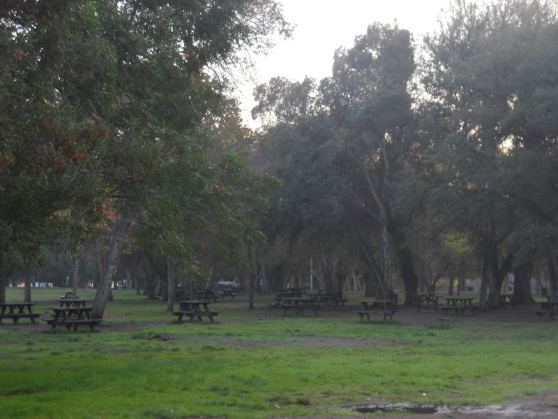 Foto: Parque Ohiggins - Santiago (Región Metropolitana), Chile