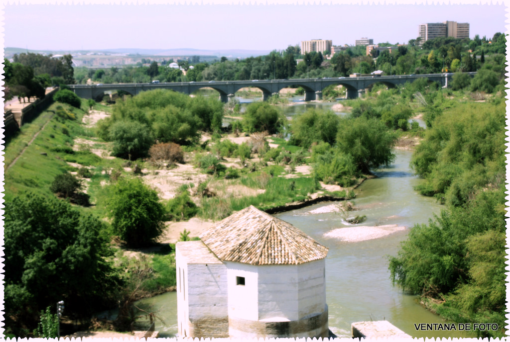 Foto: RÍO GUADALQUIVIR - Córdoba (Andalucía), España