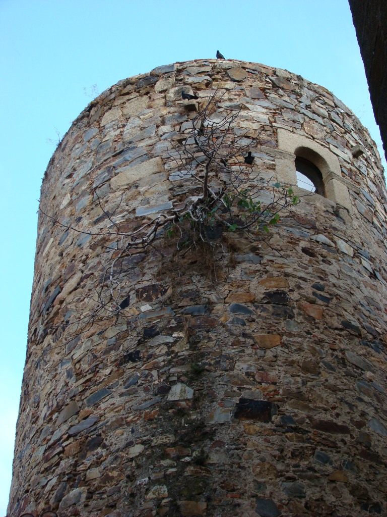 Foto de Cáceres (Extremadura), España