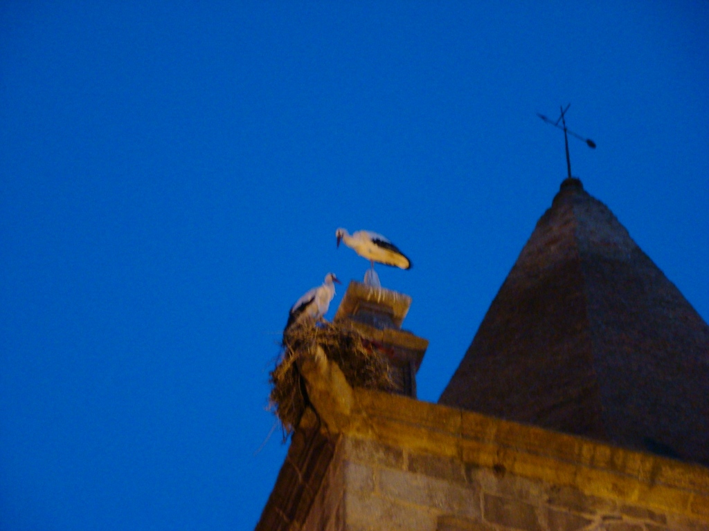 Foto de Cáceres (Extremadura), España