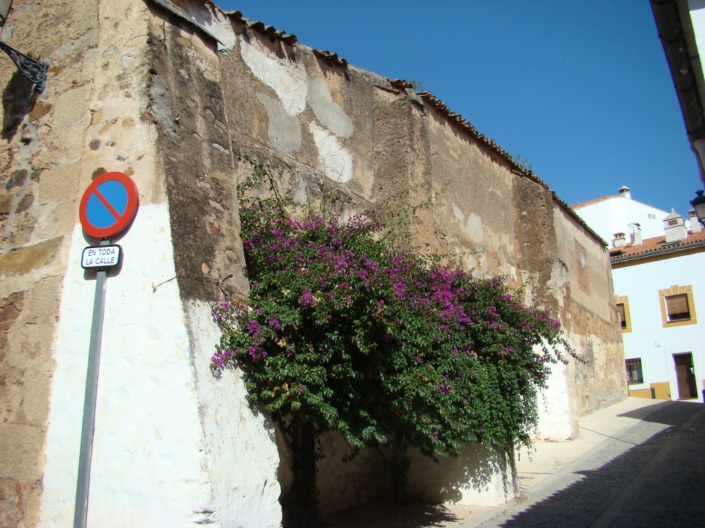 Foto de Cáceres (Extremadura), España