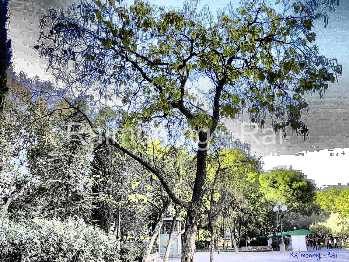 Foto: Plaza España - Madrid (Comunidad de Madrid), España