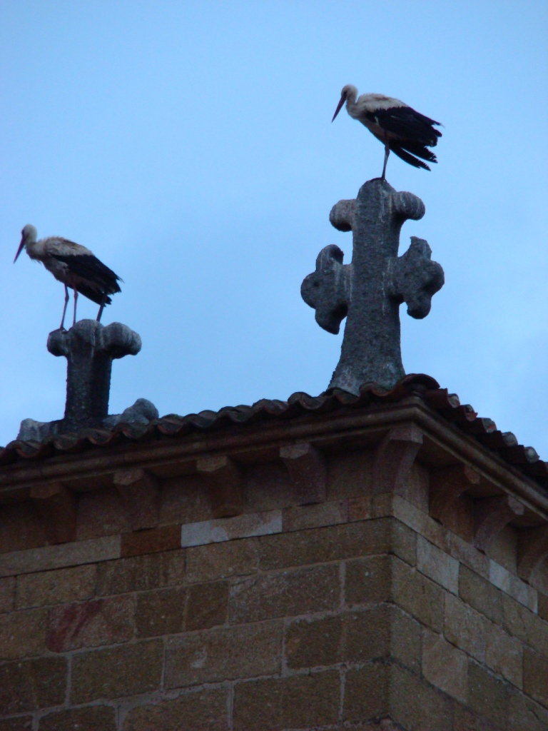 Foto de Ávila (Castilla y León), España