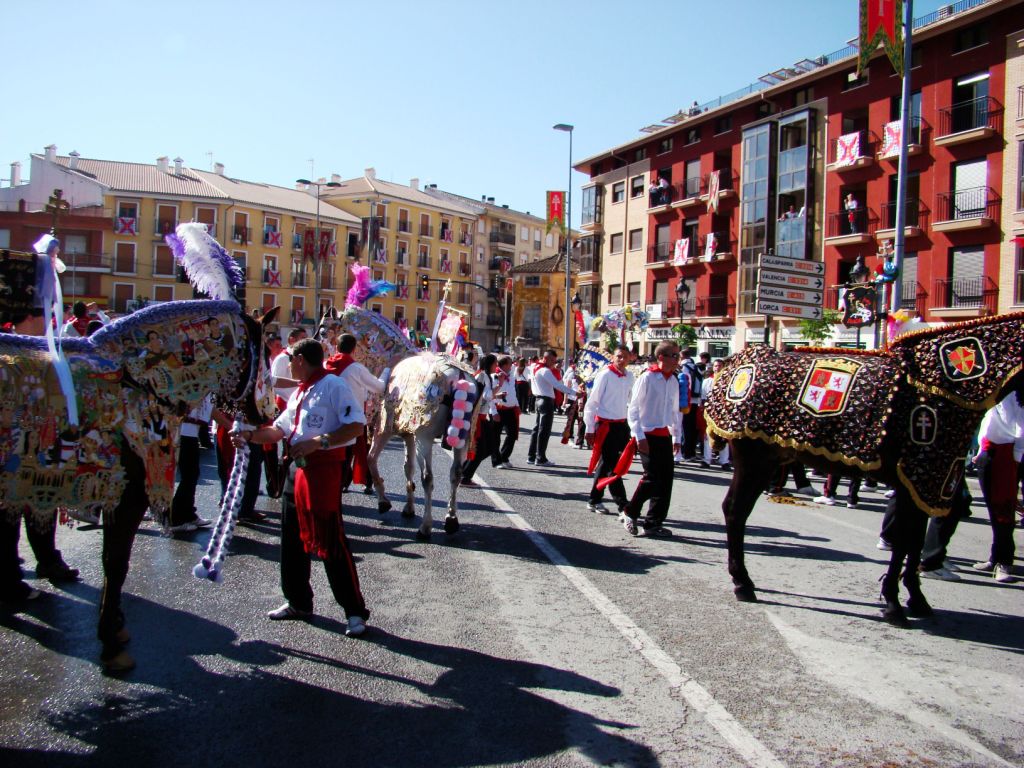 Foto: Caballos del Vino - Caravaca de la Cruz (Murcia), España