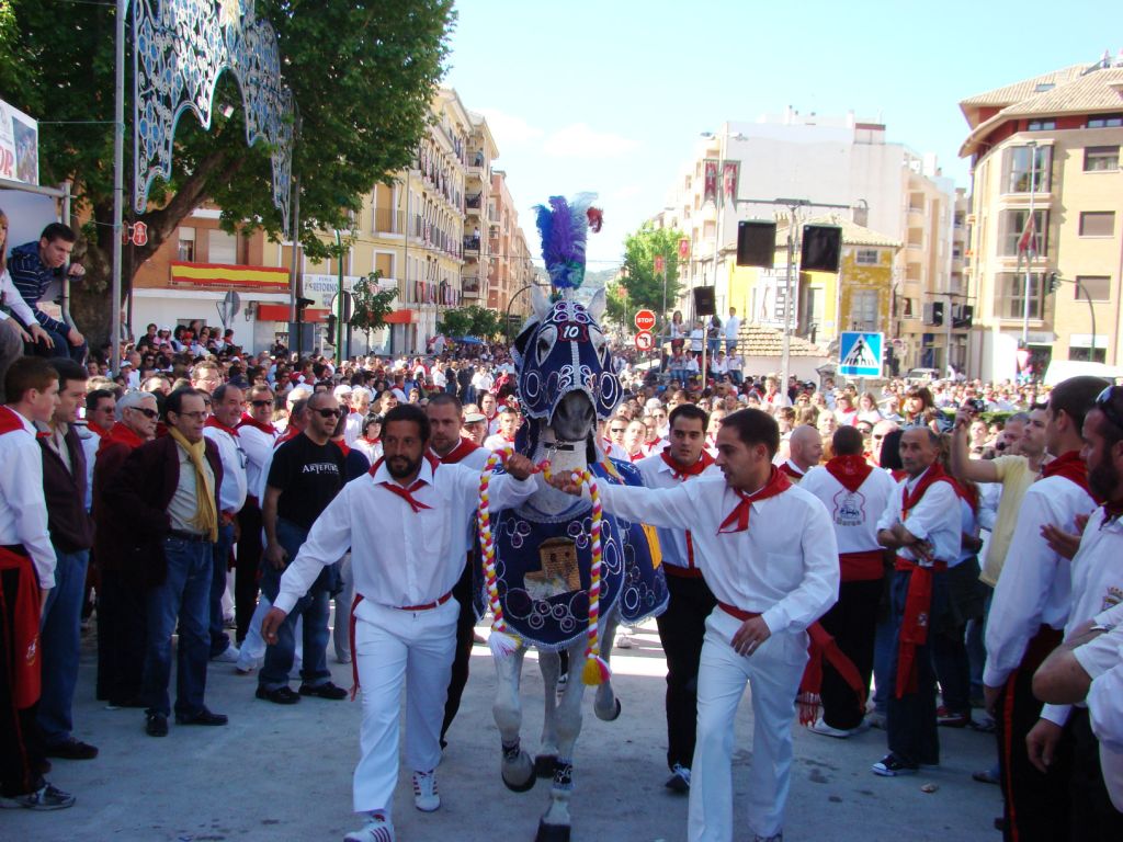 Foto: Caballos del Vino - Caravaca de la Cruz (Murcia), España