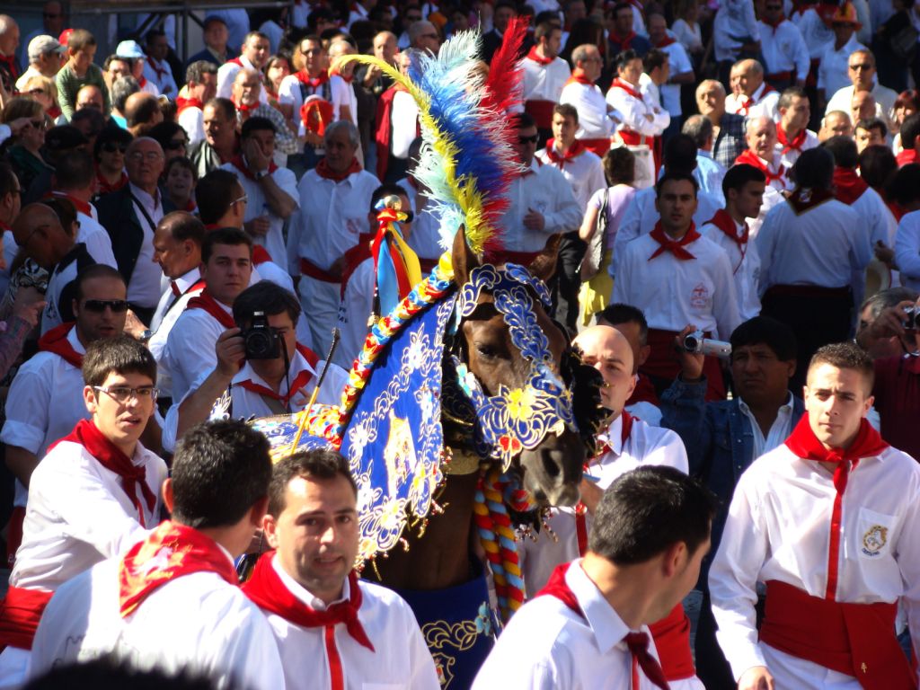 Foto: Caballos del Vino - Caravaca de la Cruz (Murcia), España