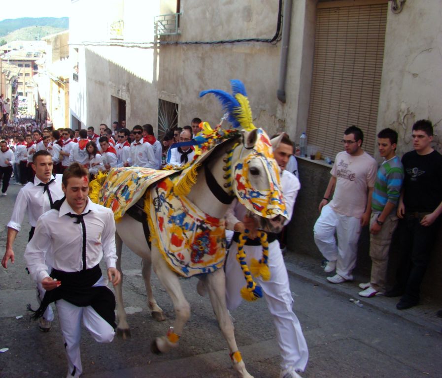 Foto: Caballos del Vino - Caravaca de la Cruz (Murcia), España