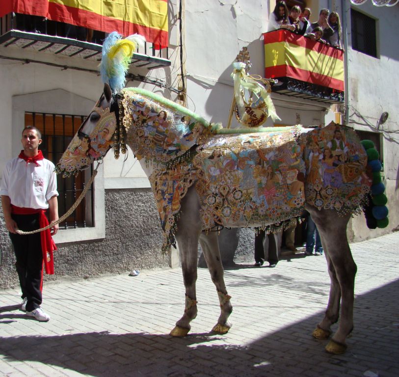 Foto: Caballos del Vino - Caravaca de la Cruz (Murcia), España