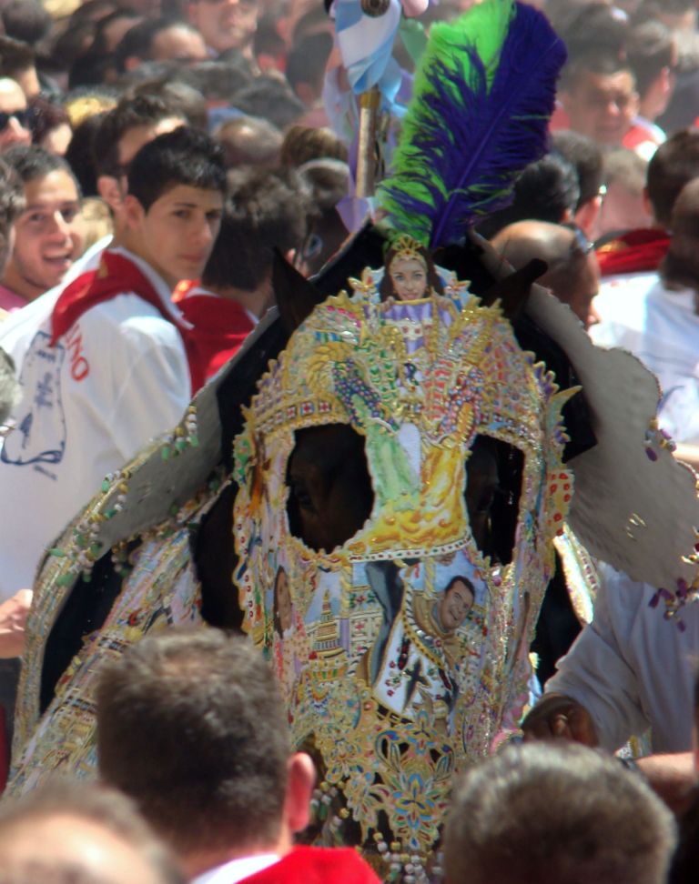 Foto: Caballos del Vino - Caravaca de la Cruz (Murcia), España