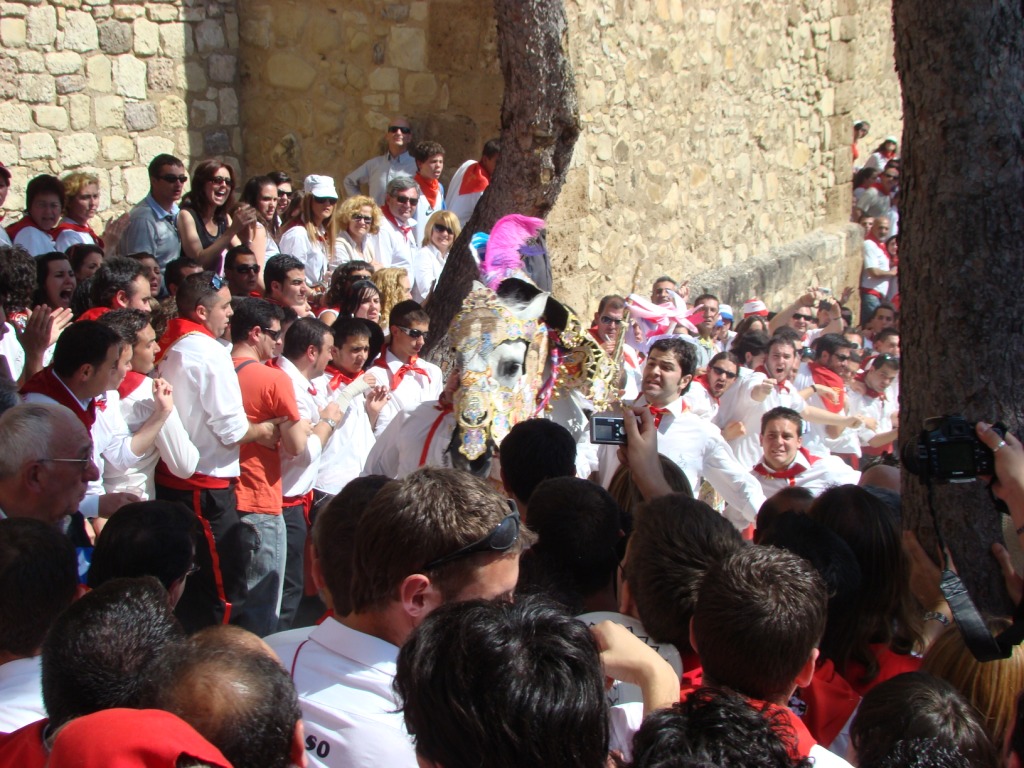 Foto: Caballos del Vino - Caravaca de la Cruz (Murcia), España