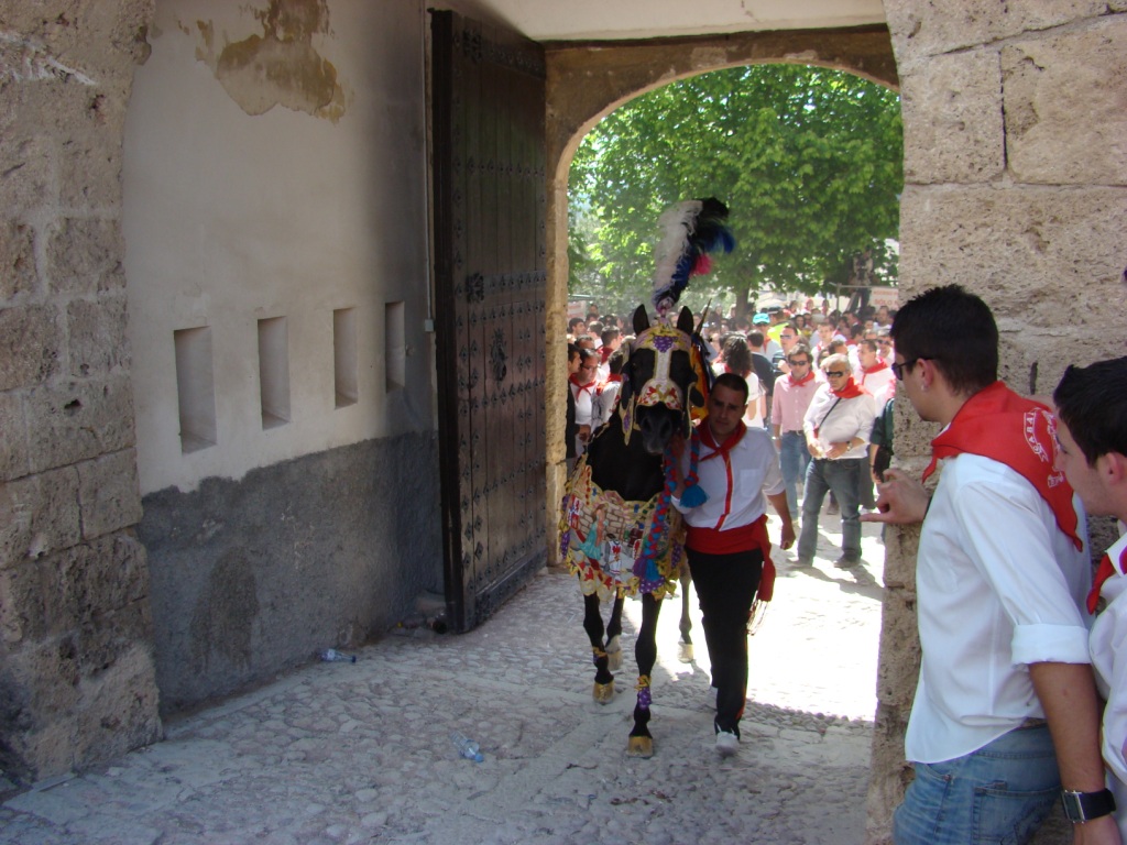 Foto: Caballos del Vino - Caravaca de la Cruz (Murcia), España