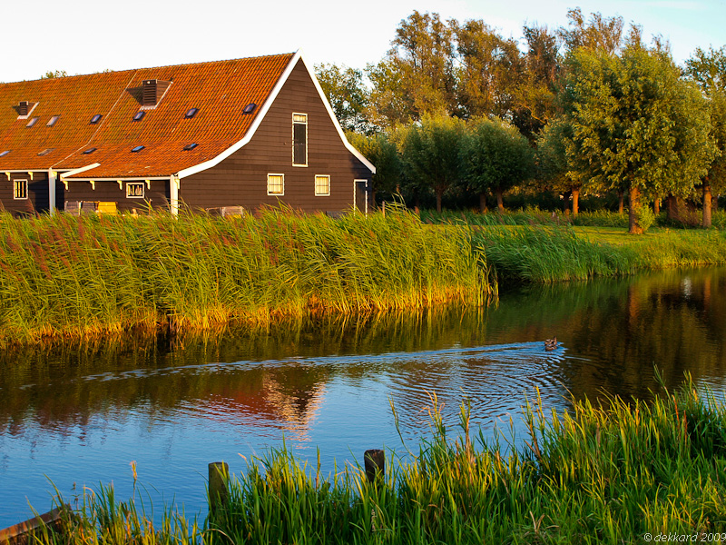 Foto de Zaanse Schans (North Holland), Países Bajos