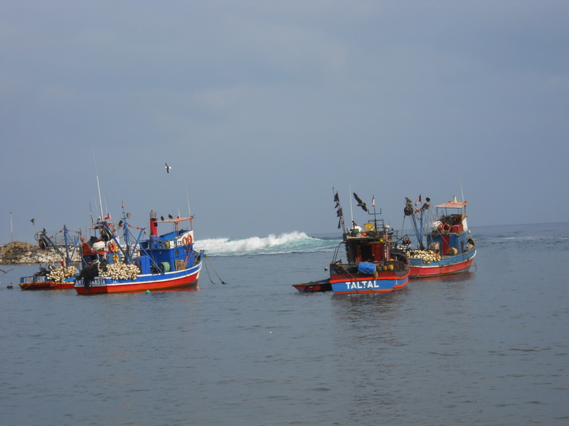 Foto: antofagasta - Antofagasta, Chile