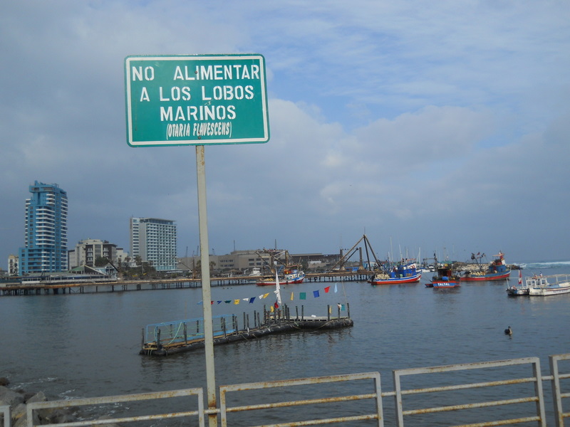 Foto: antofagasta - Antofagasta, Chile