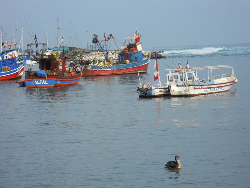 Foto: antofagasta - Antofagasta, Chile