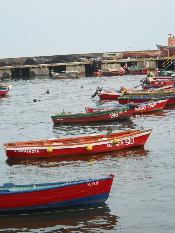 Foto: antofagasta - Antofagasta, Chile