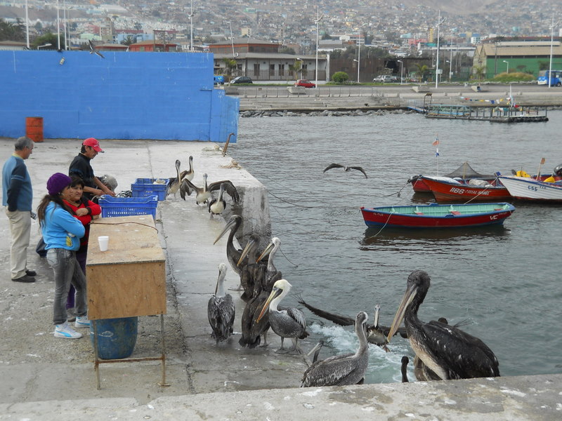 Foto: antofagasta - Antofagasta, Chile