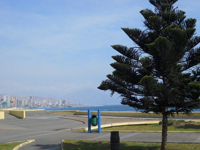 Foto: antofagasta - Antofagasta, Chile