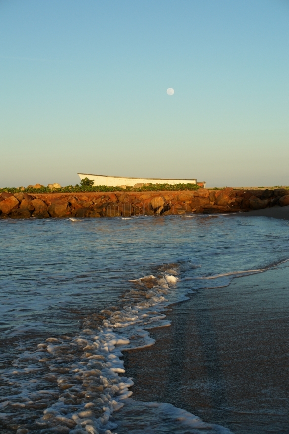 Foto: GERARDO SOTELDO - El Hatillo (Laguna De Unare) (Anzoátegui), Venezuela