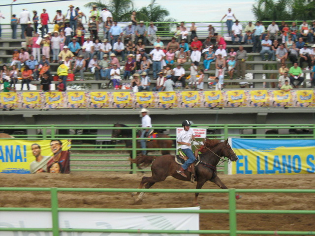 Foto: Coleo - Villavo (Boyacá), Colombia