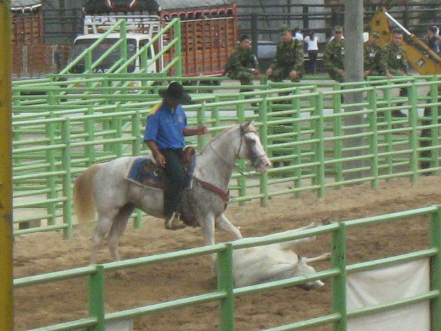 Foto: Coleo - Villavo (Boyacá), Colombia