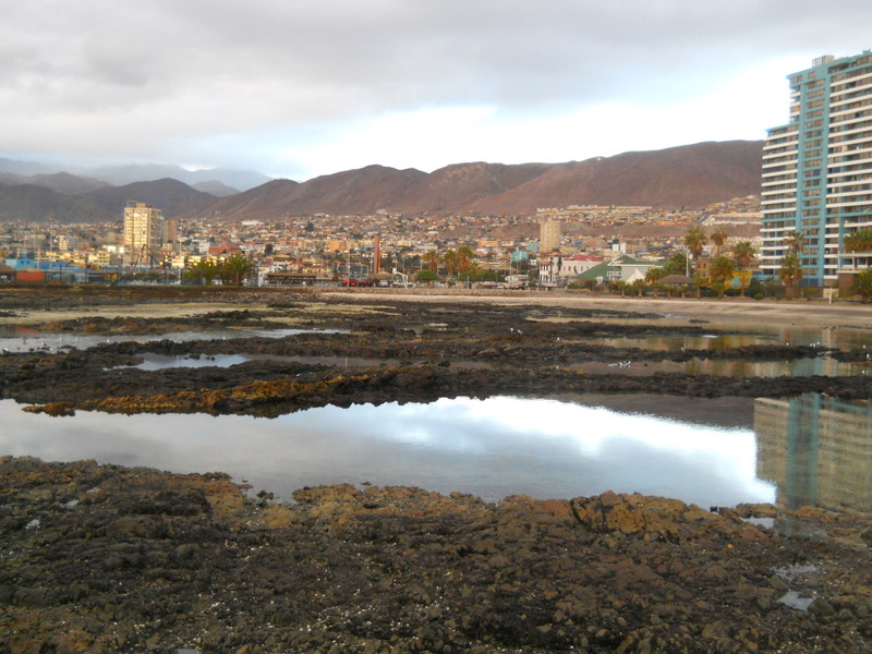 Foto: Antofagasta - Antofagasta, Chile