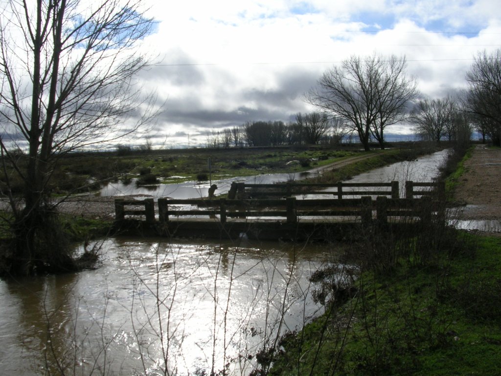 Foto: El Agua Del Inviero Hacia Pobladura - Zuares Del Páramo (León), España