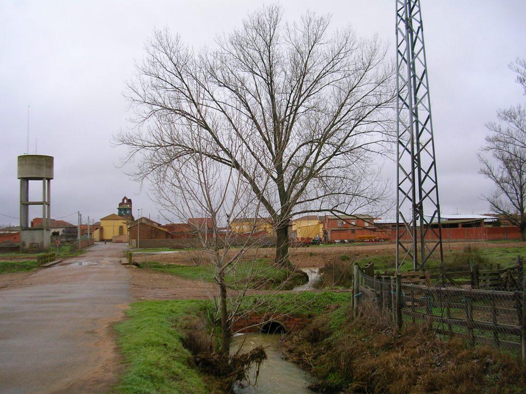 Foto: Camino A La Iglesia - Zuares Del Páramo (León), España