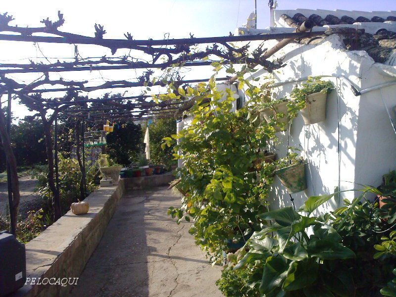 Foto de Palma Del Rio (Córdoba), España