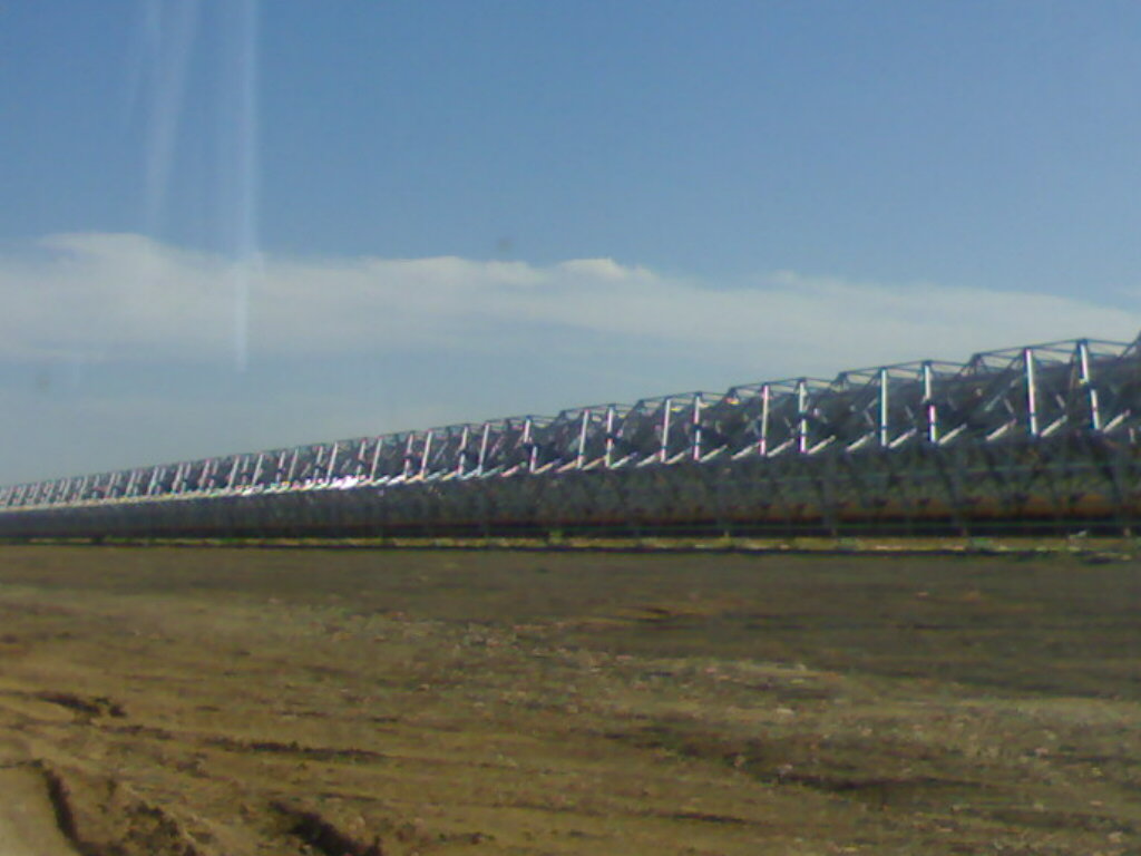 Foto de Palma Del Rio (Córdoba), España