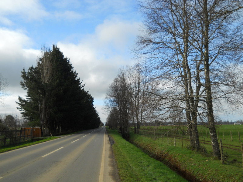 Foto: Fresia - Fresia (Los Lagos), Chile