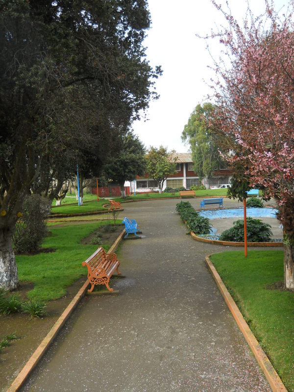 Foto: llanquihue - llanquihue (Los Lagos), Chile