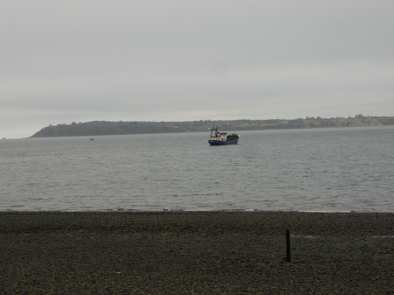 Foto: Puerto Montt - Puerto Montt (Los Lagos), Chile