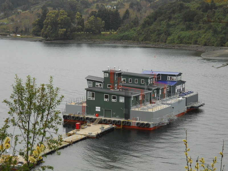 Foto: Puerto Montt - Puerto Montt (Los Lagos), Chile