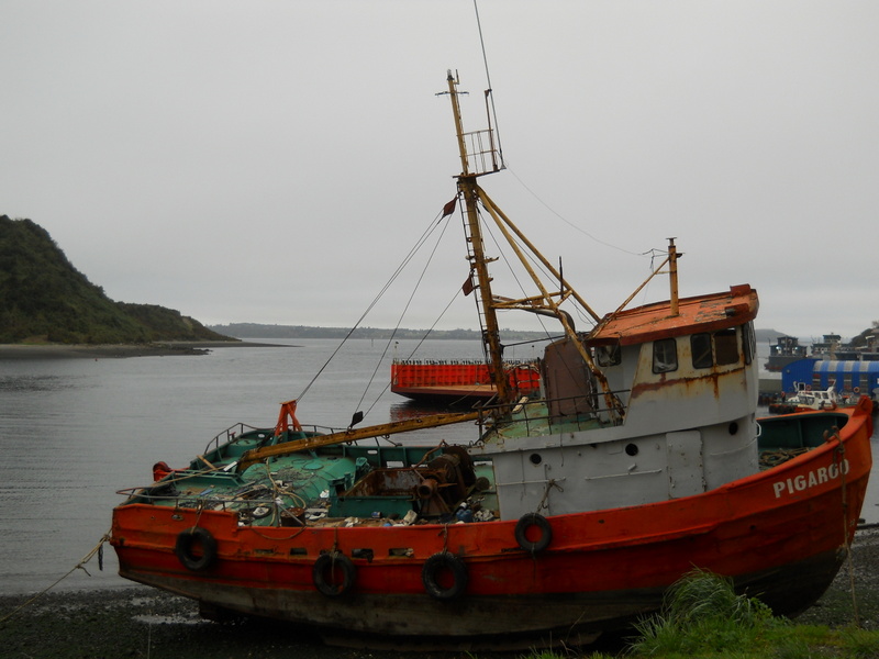 Foto: Puerto Montt - Puerto Montt (Los Lagos), Chile