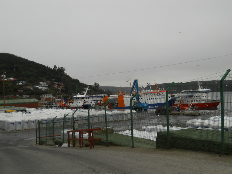 Foto: Puerto Montt - Puerto Montt (Los Lagos), Chile