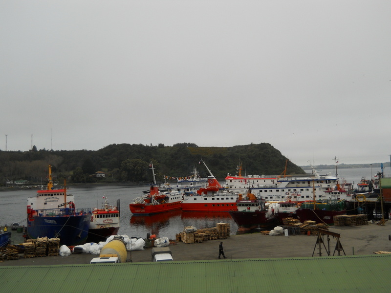 Foto: Puerto Montt - Puerto Montt (Los Lagos), Chile