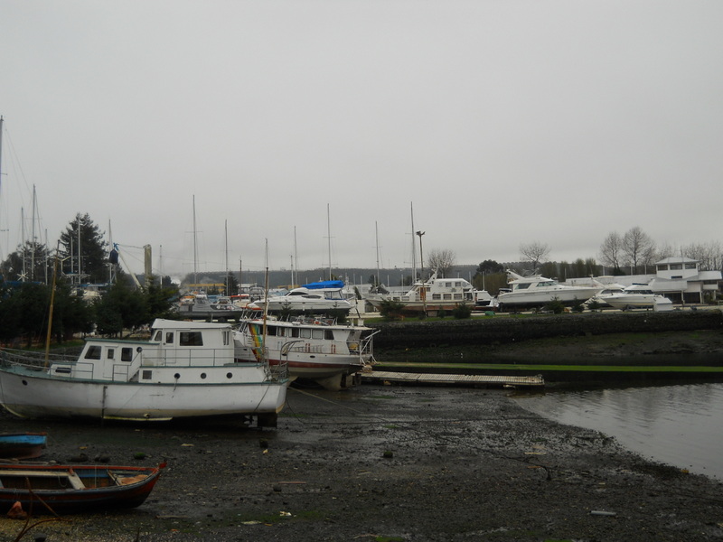 Foto: Puerto Montt - Puerto Montt (Los Lagos), Chile