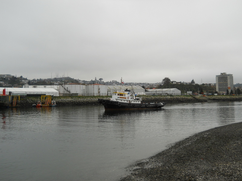 Foto: Isla Tenglo - Puerto Montt (Los Lagos), Chile