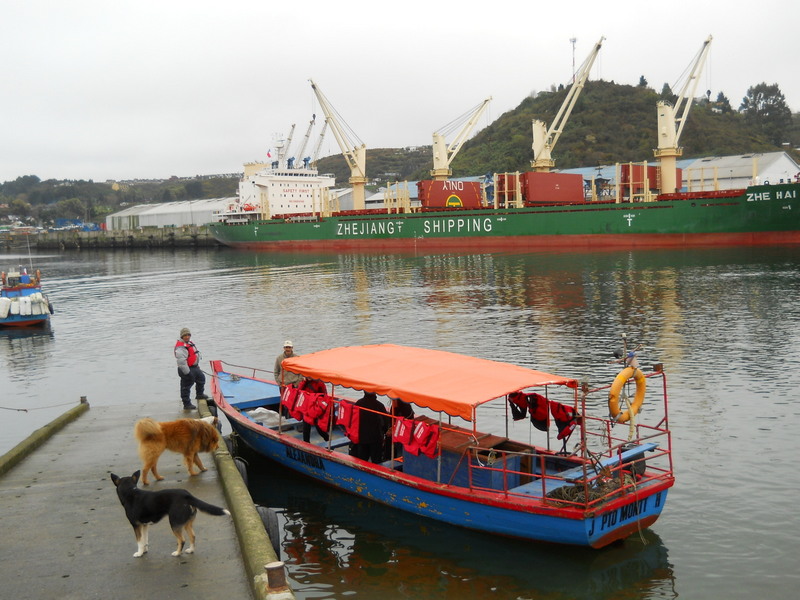 Foto: Isla Tenglo - Puerto Montt (Los Lagos), Chile