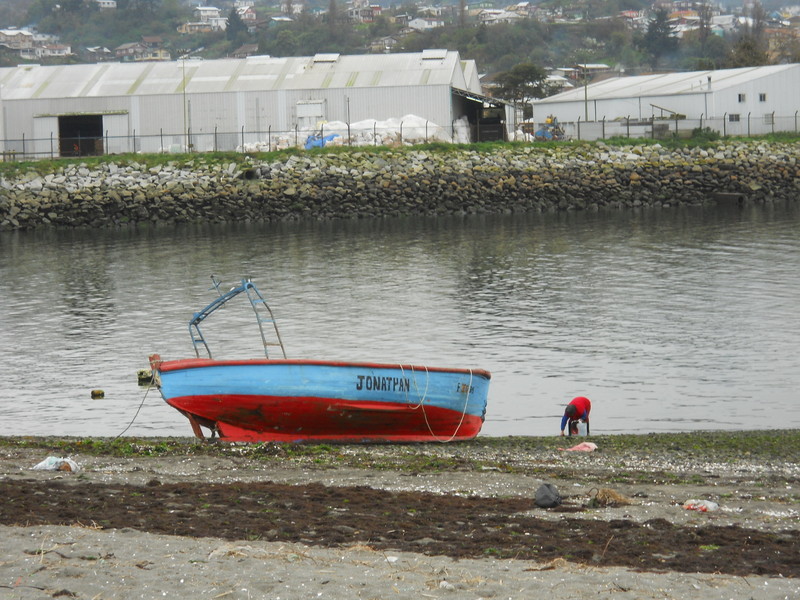 Foto: Isla Tenglo - Puerto Montt (Los Lagos), Chile