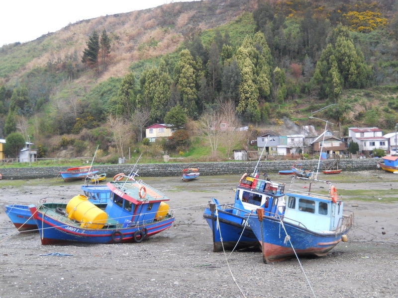 Foto: Isla Tenglo - Puerto Montt (Los Lagos), Chile