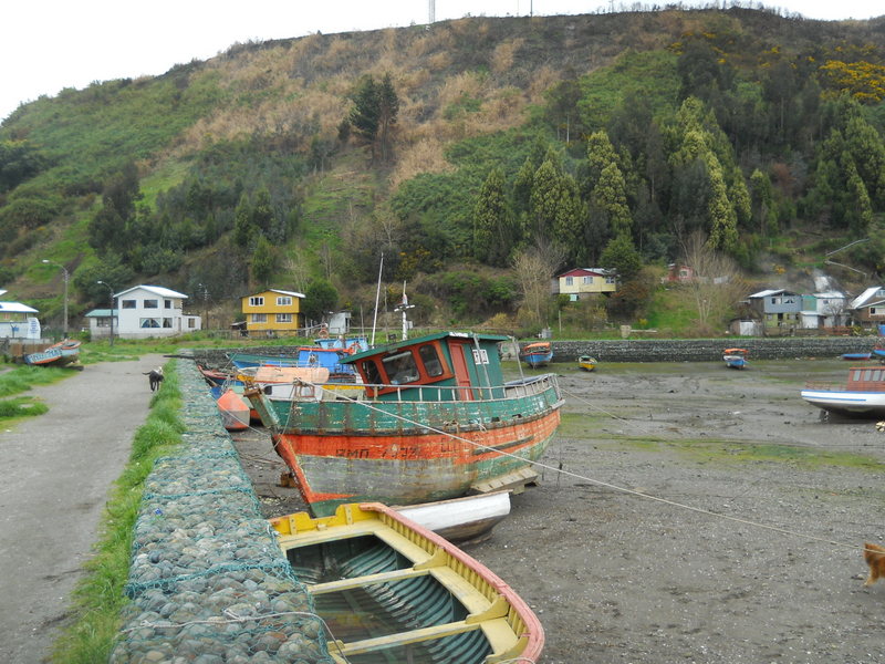 Foto: Isla Tenglo - Puerto Montt (Los Lagos), Chile