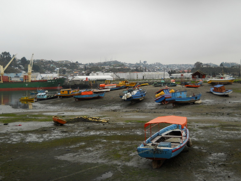 Foto: Isla Tenglo - Puerto Montt (Los Lagos), Chile