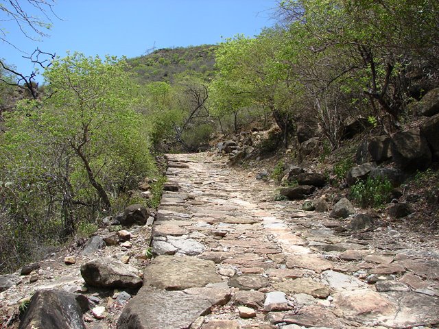 Foto: CAMINO - Los Santos (Santander), Colombia