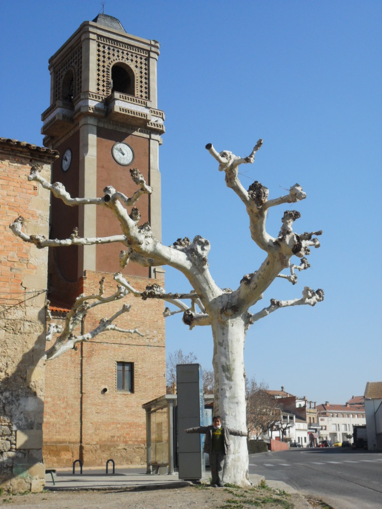 Foto de Bell-lloc d´urgell (Lleida), España