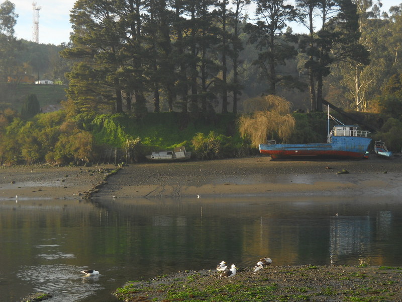 Foto: Puerto Montt - Puerto Montt (Los Lagos), Chile